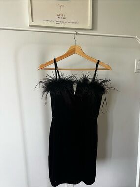 Francesca's Collections Black Velvet Feather-Trim Mini Dress
